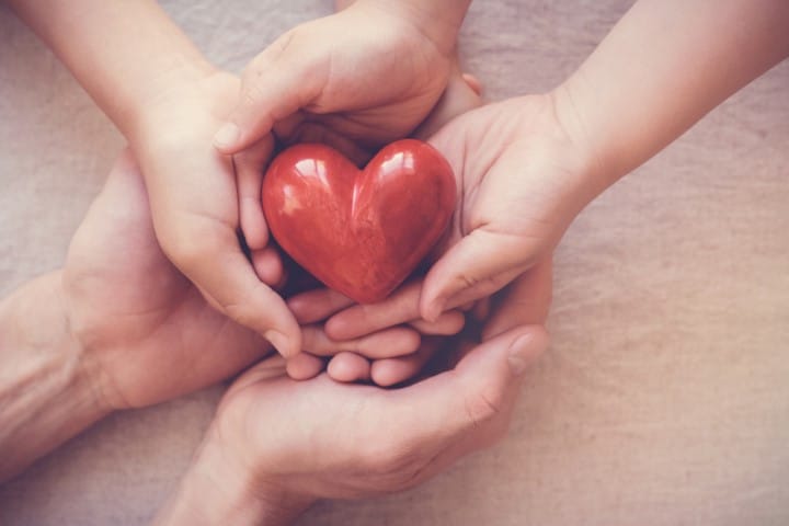 hands-holding-plastic-heart